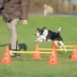 Conjunto De Obstaculos  P/ Agility Ø 23x30/78 Cm Trixie