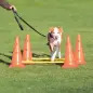 Conjunto De Obstaculos  P/ Agility Ø 23x30/78 Cm Trixie