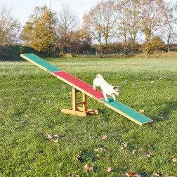 Balance P/ Agility 300x54x34 Cm Trixie - 1040061140