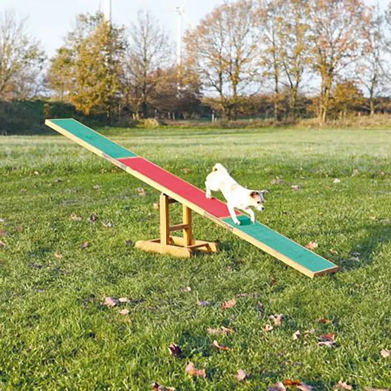 Balance P/ Agility 300x54x34 Cm Trixie