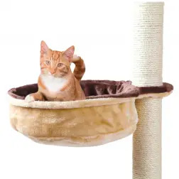 Nicho Fundo P/ Arranhador Ø 38 Cm bege/castanho Trixie - 1040070527