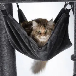 Arranhador "amadeus" P/ Gatos antracite Trixie #2 - 1040061521