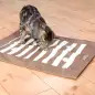 Tapete De Entretenimento Em Lona P/ Gatos 70x50 Cm Trixie