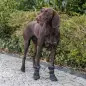 Bota Protectora "walker Active Long" P/ Caes - Tam .  Trixie