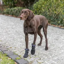 Bota Protectora "walker Active Long" P/ Caes - Tam .  Trixie #3 - 1040240828