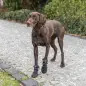 Bota Protectora "walker Active Long" P/ Caes - Tam .  Trixie