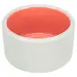 Gamela Em Ceramica P/ Roedores 100 Ml Trixie
