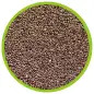 Prato P/ Incubaçao De Artemia Hobby Prato P/ Incubaçao De Artemia Hobby