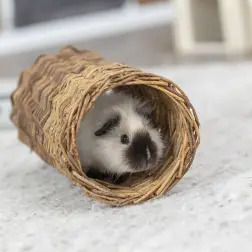 Tunel em Verga Trixie - Ratos e Hamsters - 10x25cm - 1040061226