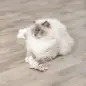 Urso Em Poliester C/ Catnip 12 Cm Trixie