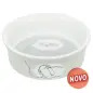 Gamela Em Ceramica "hello Comic" P/ Coelhos 240 Ml /  Trixie