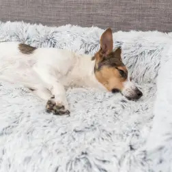 Cama Protetora de Sofá "Harvey" Trixie - 70x90cm #3 - 1040070326