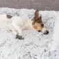 Cama Protetora de Sofá "Harvey" Trixie
