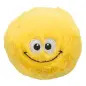 Bola Em Pelucia/poliester C/ Som Ø10 Cm 6 Unid. Trixie