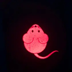 Apontador Led "catch The Light" Rato  Usb - 8,5 Cm Trixie - 1040060729