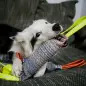 Churro "Julius K-9" Algodão com Costura
