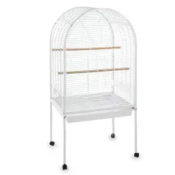 Gaiola "leeds" P/ Papagaio 78x61x156 Cm EX - 1040140145