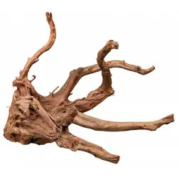 Raiz Tanganyika P/ Aquario - Peq./med. EX - 1040350253