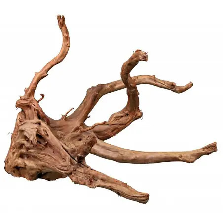 Raiz Tanganyika P/ Aquario - Peq./med. EX - 1040350253