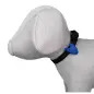 Flasher Clip Flash para Aplicação na Coleira