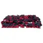 Activity Tapete De Farejar 50x34 Cm Trixie Activity Tapete De Farejar 50x34 Cm Trixie