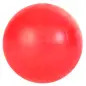 Bola De Borracha Unicolor - 6 Cm Trixie