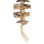 Brinquedo Em Cortica/madeira Natural - 37 Cm Trixie