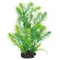 Plantas Artificiais P/ Aquario "hottonia" - 25 Cm Superfish Plantas Artificiais P/ Aquario "hottonia" - 25 Cm Superfish