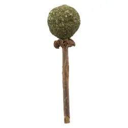 Chupa De Matatabi C/ Catnip - 11 Cm Trixie - 1040060819