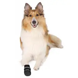 Walker - Botas Profissional Nylon para Cães - - XS - 1040240242