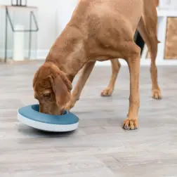 Gamela "rocking Slow Feed" Plastico 0,5lt/ø23cm cinz Trixie - 1040090622