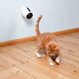 Laser- Pointer laser C/ Movimento Aleatorio Trixie - 1040061228