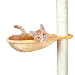Maca De Repouso P/ Trepador De Gatos bege  » Trixie - 1040061486