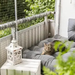 Rede De Proteçao, Reforçada P/ Gatos 2x1,5 Mt verde Trixie - 1040310245