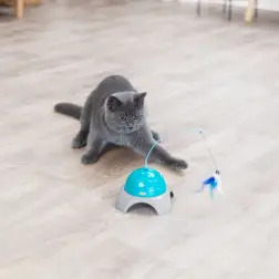 Brinquedo "catch Me" C/ Controlo Remoto Trixie - 1040061191