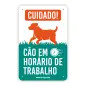 Placa Pvc "cao Em Horario De Trabalho" EX