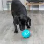 Bola para Snacks em Borracha/TPR
