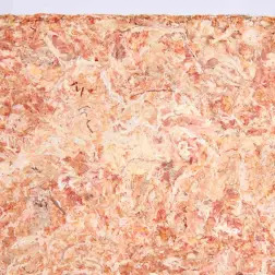 Musgo "sphagnum" - Substrato Tropical 4,5 Lt Trixie - 1040350231