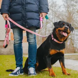 Max & Molly - Trela Multi "retro Pink" tam. M Max&Molly #4 - 1040220700