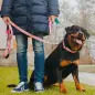 Max & Molly - Trela Multi "retro Pink" tam. M Max&Molly Max & Molly - Trela Multi "retro Pink" tam. M Max&Molly