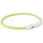Colar Luminoso "flash Light Usb" Xs-s 35 Cm verde Trixie