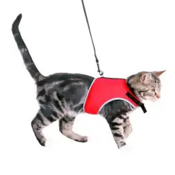 Peitoral+trela "xxl" Nylon P/ Gatos 24-42 Cm . Trixie - 1040080302