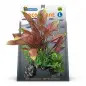 Plantas Artificiais P/ Aquario Deco Plant "henkeli Superfish Plantas Artificiais P/ Aquario Deco Plant "henkeli Superfish