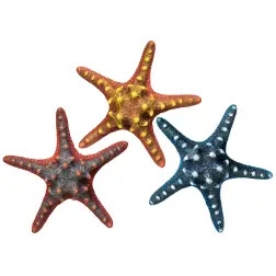 Decoraçao Aquario - Estrela Do Mar cores Sort. Ø1 Vadigran - 1040350269