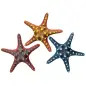 Decoraçao Aquario - Estrela Do Mar cores Sort. Ø1 Vadigran