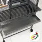 Gaiola "liverpool" P/ Papagaio 78x68x175 Cm EX Gaiola "liverpool" P/ Papagaio 78x68x175 Cm EX