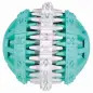 Dentafun Borracha - "bola" C/ Menta 6 Cm Trixie