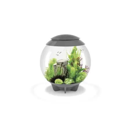Aquario bola cinzento led 60lt biorb - 1040030057