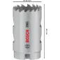 Serra craniana PRO Multi Material, 32 mm, roscada 2608901502 Bosch Serra craniana PRO Multi Material, 32 mm, roscada 2608901502 Bosch