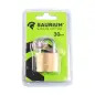 Cadeado Latão 30mm Com Chave  Saurium